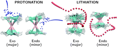 Graphical abstract: Mechanisms and dynamics of protonation and lithiation of ferrocene