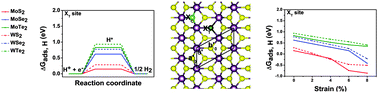 Graphical abstract: A first-principles examination of conducting monolayer 1T′-MX2 (M = Mo, W; X = S, Se, Te): promising catalysts for hydrogen evolution reaction and its enhancement by strain