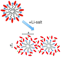 Graphical abstract: The effect of lithium salt doping on the nanostructure of ionic liquids