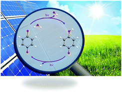 Graphical abstract: Photoinduced water splitting via benzoquinone and semiquinone sensitisation