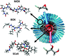 Graphical abstract: Characterization of molecular association of poly(2-oxazoline)s-based micelles with various epoxides and diols via the Flory–Huggins theory: a molecular dynamics simulation approach