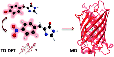 Graphical abstract: Two-photon absorption of fluorescent protein chromophores incorporating non-canonical amino acids: TD-DFT screening and classical dynamics