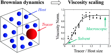 Graphical abstract: Viscosity scaling in concentrated dispersions and its impact on colloidal aggregation