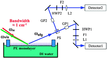 Graphical abstract: Assembly and relaxation behaviours of phosphatidylethanolamine monolayers investigated by polarization and frequency resolved SFG-VS