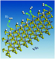 Graphical abstract: A first-principles study on the hydrogen evolution reaction of VS2 nanoribbons