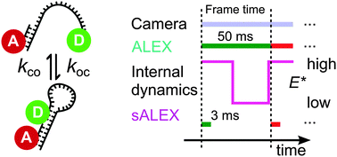 Graphical abstract: Camera-based single-molecule FRET detection with improved time resolution