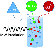 Graphical abstract: The effect of Gd on trityl-based dynamic nuclear polarisation in solids