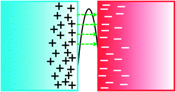 Graphical abstract: Thermoelectricity in polymer composites due to fluctuation-induced tunneling