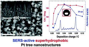 Graphical abstract: Electrodeposition of Pt nanostructures with reproducible SERS activity and superhydrophobicity