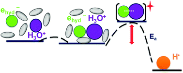 Graphical abstract: Deciphering the reaction between a hydrated electron and a hydronium ion at elevated temperatures