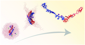 Graphical abstract: How do non-covalent complexes dissociate in droplets? A case study of the desolvation of dsDNA from a charged aqueous nanodrop