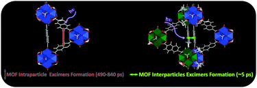 Graphical abstract: Spectral and dynamical properties of a Zr-based MOF