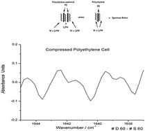 Graphical abstract: Low polarity water, a novel transition species at the polyethylene–water interface