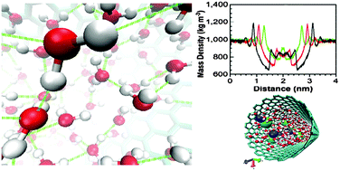 Graphical abstract: Confinement and surface effects of aqueous solutions within charged carbon nanotubes