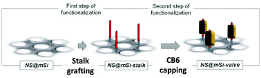 Graphical abstract: Thermoresponsive gold nanoshell@mesoporous silica nano-assemblies: an XPS/NMR survey