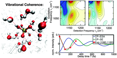 Graphical abstract: Anharmonicities and coherent vibrational dynamics of phosphate ions in bulk H2O