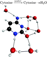 Graphical abstract: Quantum chemical MP2 results on some hydrates of cytosine: binding sites, energies and the first hydration shell