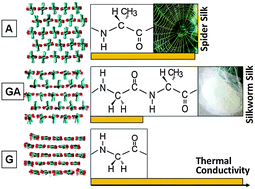 Graphical abstract: Effects of the amino acid sequence on thermal conduction through β-sheet crystals of natural silk protein