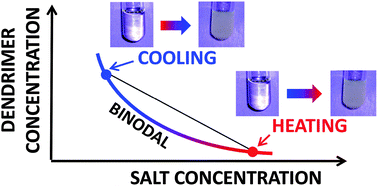 Graphical abstract: Unusual liquid–liquid phase transition in aqueous mixtures of a well-known dendrimer