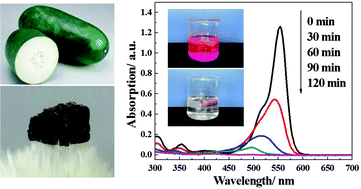 Graphical abstract: TEMPO-mediated oxidized winter melon-based carbonaceous aerogel as an ultralight 3D support for enhanced photodegradation of organic pollutants