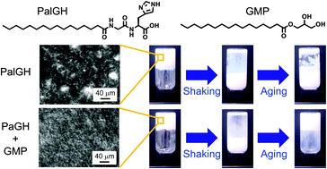 Graphical abstract: Sol–gel transition accelerated by the co-assembly of two components in supramolecular hydrogels