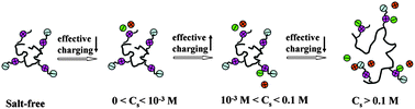 Graphical abstract: Dynamics of polyzwitterions in salt-free and salt solutions