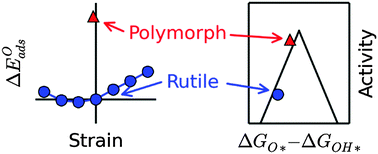 Graphical abstract: Tuning oxide activity through modification of the crystal and electronic structure: from strain to potential polymorphs