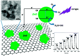 Graphical abstract: ZnO nanoflowers with single crystal structure towards enhanced gas sensing and photocatalysis