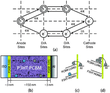 Graphical abstract: Numerical simulations of the role of a ferroelectric polymer interfacial layer in organic solar cells