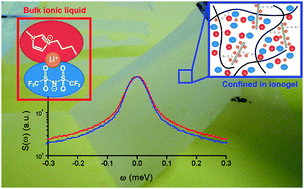 Graphical abstract: Ionogel based on biopolymer–silica interpenetrated networks: dynamics of confined ionic liquid with lithium salt