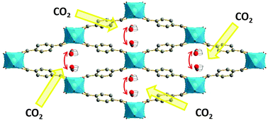 Graphical abstract: Deducing CO2 motion, adsorption locations and binding strengths in a flexible metal–organic framework without open metal sites
