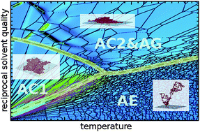 Graphical abstract: Interlocking order parameter fluctuations in structural transitions between adsorbed polymer phases