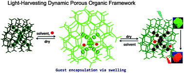 Graphical abstract: Dynamic, conjugated microporous polymers: visible light harvesting via guest-responsive reversible swelling