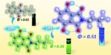 Graphical abstract: Fluorescence emissions of imide compounds and end-capped polyimides enhanced by intramolecular double hydrogen bonds