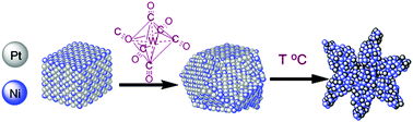 Graphical abstract: Classical group theory adapted to the mechanism of Pt3Ni nanoparticle growth: the role of W(CO)6 as the “shape-controlling” agent