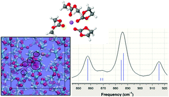 Graphical abstract: Competitive lithium solvation of linear and cyclic carbonates from quantum chemistry