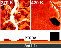 Graphical abstract: Direct observation of epitaxial organic film growth: temperature-dependent growth mechanisms and metastability