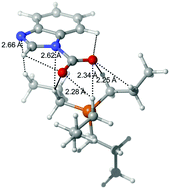 Graphical abstract: The addition of CO2 to four superbase ionic liquids: a DFT study