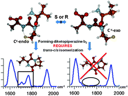 Graphical abstract: R vs. S fluoroproline ring substitution: trans/cis effects on the formation of b2 ions in gas-phase peptide fragmentation