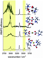 Graphical abstract: Structures and unimolecular chemistry of M(Pro2-H)+ (M = Mg, Ca, Sr, Ba, Mn, Fe, Co, Ni, Cu, Zn) by IRMPD spectroscopy, SORI-CID, and theoretical studies