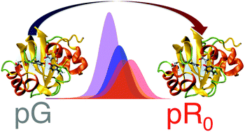 Graphical abstract: Conversion of light-energy into molecular strain in the photocycle of the photoactive yellow protein