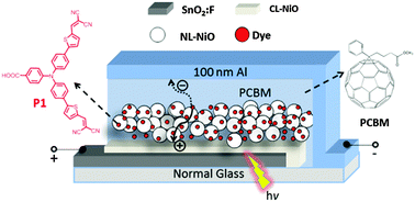 Graphical abstract: Solid state p-type dye-sensitized solar cells: concept, experiment and mechanism