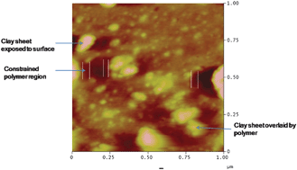 Graphical abstract: Characterizing the nanoclay induced constrained amorphous region in model segmented polyurethane–urea/clay nanocomposites and its implications on gas barrier properties