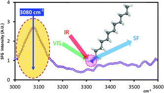 Graphical abstract: Suppressing interfacial water signals to assist the peak assignment of the N+–H stretching mode in sum frequency generation vibrational spectroscopy