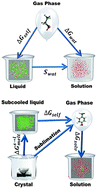 Graphical abstract: Predictions of the physicochemical properties of amino acid side chain analogs using molecular simulation