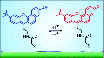 Graphical abstract: Dual-fluorescence pH probe for bio-labelling