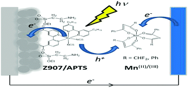 Graphical abstract: On the stability of manganese tris(β-diketonate) complexes as redox mediators in DSSCs