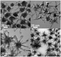 Graphical abstract: Synthesis of branched Pd nanocrystals with tunable structures, their growth mechanism, and enhanced electrocatalytic properties