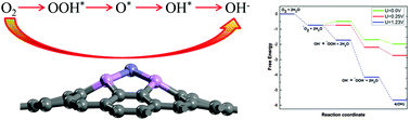 Graphical abstract: Fe– and Co–P4-embedded graphenes as electrocatalysts for the oxygen reduction reaction: theoretical insights