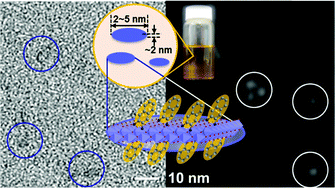 Graphical abstract: Surface-functionalized monolayered nanodots of a transition metal oxide and their properties